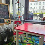 호텔 Am Kaisersaal
