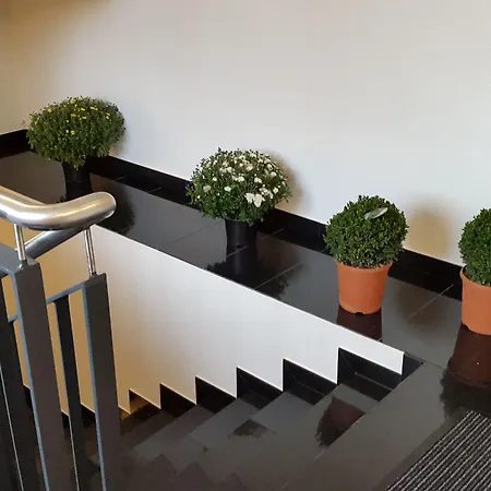 皇帝大厅酒店 酒店